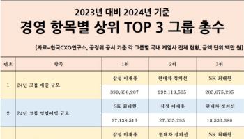 SK 최태원, 작년 그룹 영업익 1위…삼성은 3개부문 톱