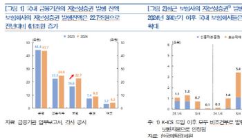 보험사, 자본성증권 전년비 6조원 증가…재무건전성·유동성 우려