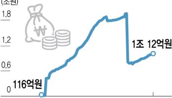 성장 멈춘 국내 RA…퇴직연금 시장 돌파구 될까