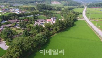 200년 넘게 마을 지킨 '고창 삼태마을숲' 천연기념물 된다