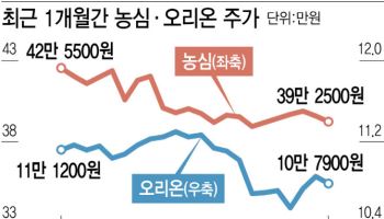 ‘허니문 랠리’ 속 주춤한 농심·오리온…시장선 “매수 기회”