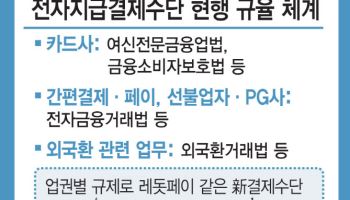레돗페이, 여전히 규제 공백 속…‘日자금결제법’ 해답될까