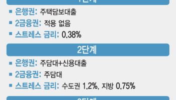 1일부터 'DSR 사각지대' 사라진다