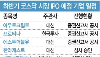 하반기 IPO 제도 변화 속 옥석가리기 심화…'상저하고' 기대도