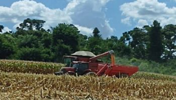 누보, 용출제어형 코팅비료 우수성 확인…“적은 비료로도 생산 증대”