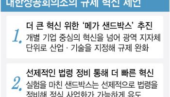 최태원 '규제 샌드박스' 뚝심…규제 푸니 일자리 확 늘었다