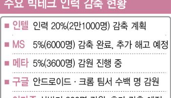 AI의 일자리 공습..."우리도 대체될까"
