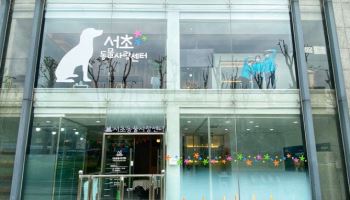 서초구 "반려견 돌봄 안심하고 휴가 다녀오세요"