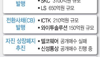 상법 개정에 셈법 복잡한 기업들…EB·CB 발행부터 소각·상폐까지 분주