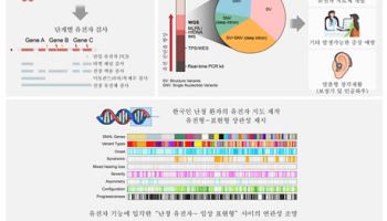 난청 돌연변이 발견 및 한국인의 난청 유전자 지도 구축