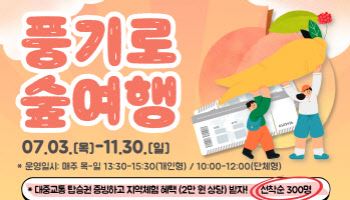 "경북 영주 풍기로 특별한 숲 여행 한번 떠나보세요"