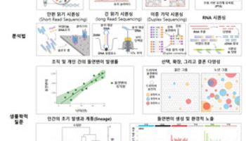 정상 인체 세포 돌연변이 발생 지도 완성