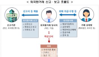 외국환거래 위반 1000건 넘어…직접투자·부동산 등 위반 잇따라