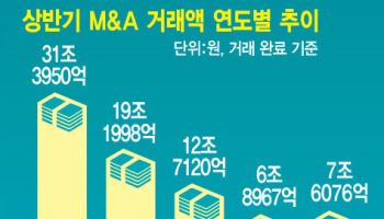 다시 돌아가는 M&A 시계…대기업이 이끈다
