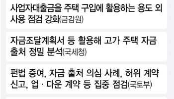 사업자대출금 용도 외 사용 '정조준'…고가 주택 자금 출처도 조사
