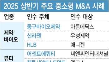 “틈새는 우리가 메운다”…빅딜 명암 속 빛난 중소형 M&A