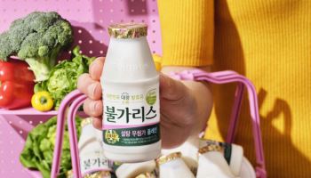 “저당 라인업 강화” 남양, ‘불가리스 설탕 무첨가 플레인’ 출시