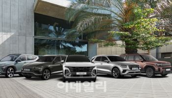 "싼타페 첫 6개월 무이자"…현대캐피탈, 여름 특별 프로모션 시행
