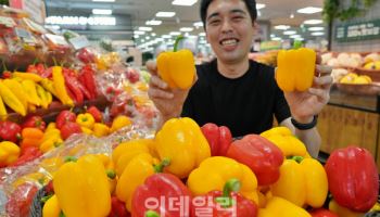 "690원 파프리카" 롯데마트, 초저가로 여름 밥상 저격
