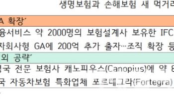 보험사, 새 먹거리 전략은…생보 ‘GA 확대 ·손보 ‘해외 진출’