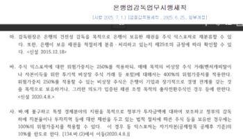 AI정책펀드 투자시 銀 위험가중치 100%로 하향…당국 규제정비