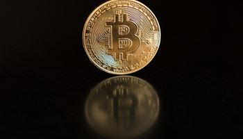 美가상자산 업체, 은행업 진출 러시…"트럼프 효과 누리자"