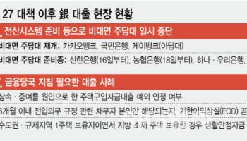 6·27 가계부채 관리방안 발표 3주째…상속·증여에 퇴거대출 ‘혼란 여전’