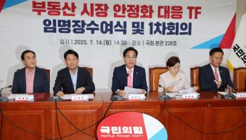 국힘 '부동산 안정화 TF' 출범…"6.27 규제, 反서민적"