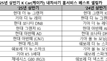 중고차 구매도 양극화…상반기 중대형 세단·경차 양분