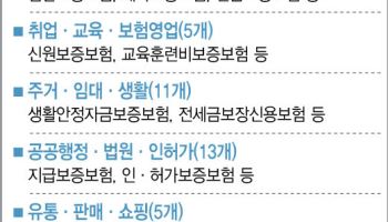 '보증 공백'에 피해 전방위 확산…"독점 구조가 리스크 키워" 지적