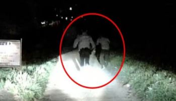 "수상한데"…순찰차 보고 도망친 외국인, 잡고보니