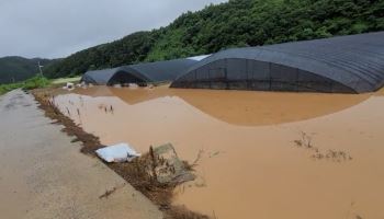 폭우로 여의도 84배 농작물 침수…가축 100만마리 넘게 폐사