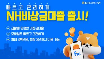 NH저축銀, 최대 300만원 한도 ‘NH 비상금대출’ 출시