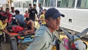 "총에 죽거나, 굶어 죽거나"…식량 받으려던 가자 주민 92명 사망
