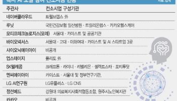 한국 독자 AI 모델 경쟁 본격화…누가 누가 짝 맺었나