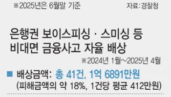 보이스피싱 피해 자율배상 빨라진다…최대 307일→90일로 단축
