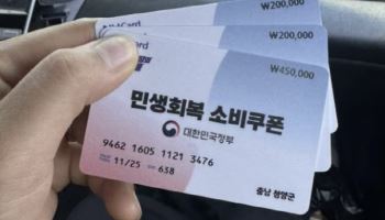 85만원 소비쿠폰 받은 결혼이주여성에 “내 세금 내놔”