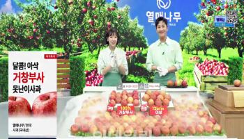 못난이 사과 대박난 NS홈쇼핑…상반기 1149톤 판매