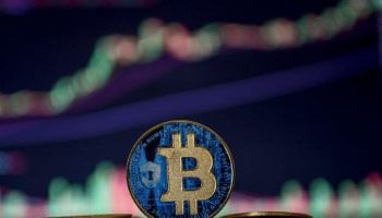 美상장사, 코인 자산 늘린다…잡코인까지 손뻗쳐, 왜?