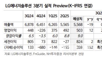 LG에너지솔루션, ESS 고성장에 단기 반등 기대…목표가↑-NH