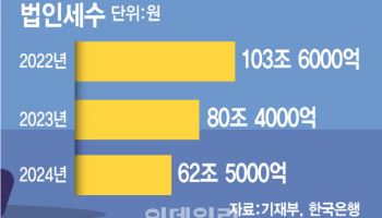 조세부담률 뚝 떨어지니…“증세라 쓰고 조세 정상화라 읽는다”