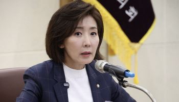 나경원 "탄핵반대가 잘못된 건가? 그때 尹지지율 50%"