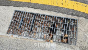 화재 7건중 1건 담뱃불이 원인…환경오염도 심각