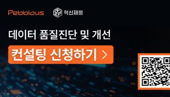 페블러스, 대구·경북 지역 기업 대상 데이터품질 개선 무료 컨설팅