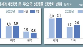 IMF, 韓 올해 성장률 1.0→0.8%로…'추경 기대감'에 내년은 1.8%