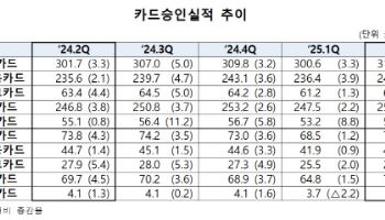 2분기 카드 승인액 전년대비 3.7% 증가…법인카드 주도