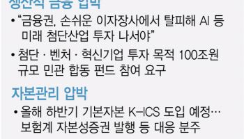생산적 금융 부담에…보험업계 "자본규제 완화를"