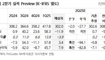 진에어, LCC 간 경쟁 심화로 실적 악화…목표가 21%↓-NH