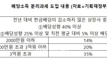 배당소득 분리과세 최고세율 35%…“효과 미미” 우려