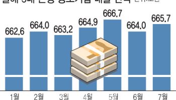 중기대출 한달 새 1.6조 늘었지만…銀 자본비율 규제로 확대 한계